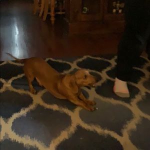 Meet your Posher, Jeremy